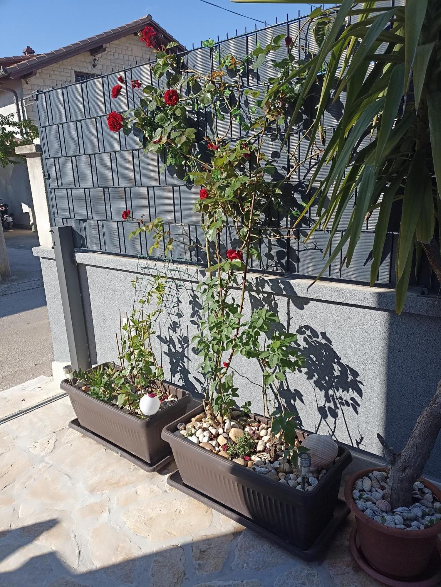 Apartamento Apartman Lara Zadar Exterior foto